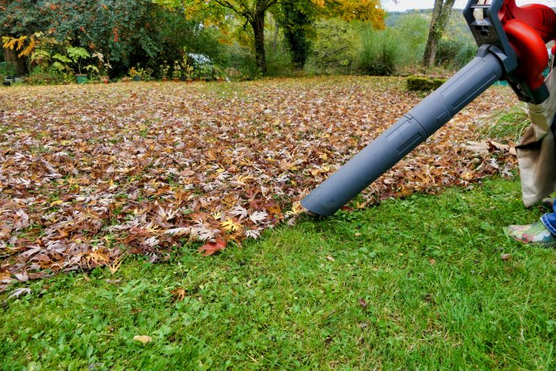 Leaf Cleanup Equipment