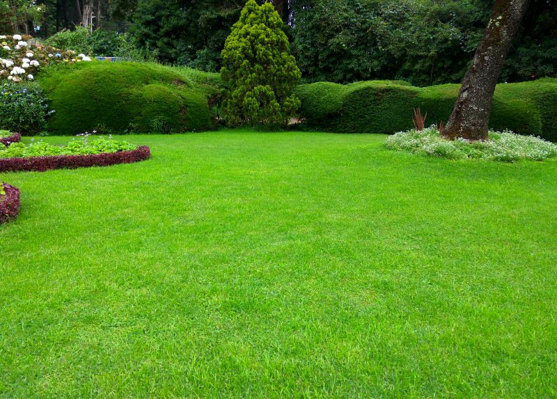 Residential Lawn Care
