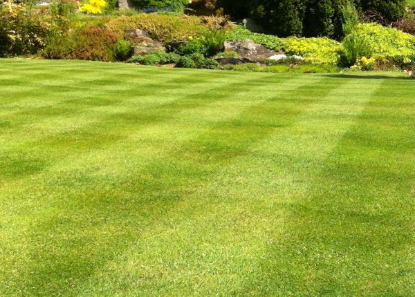 Commercial Grass Cutting in Bethlehem