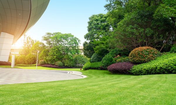 Commercial Lawn Mowing in Bethlehem