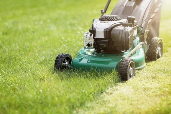 Cost of Yard Cutting in Bethlehem