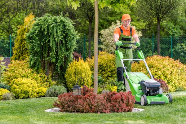 Yard Service in Bethlehem