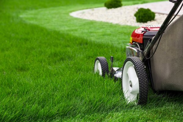 Yard Mowing in Bethlehem