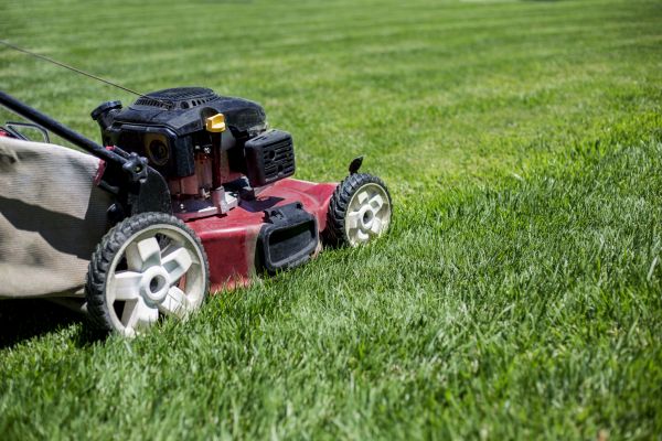 Cost of Routine Lawn Care in Bethlehem