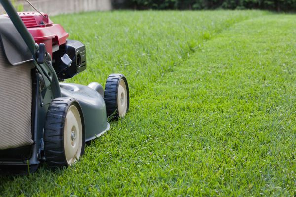 Cost of Summer Lawn Care in Bethlehem