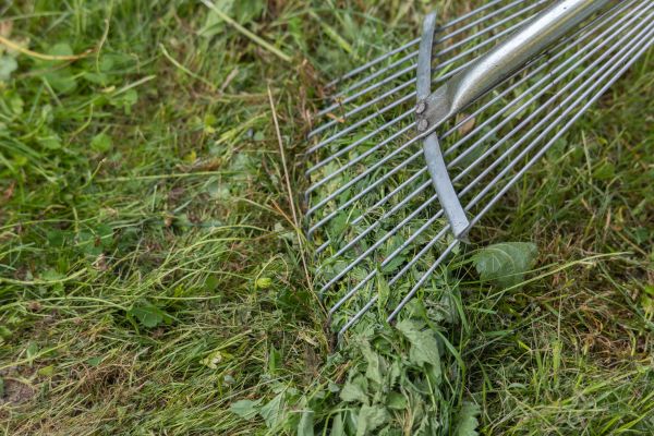 Cost of Thatch Raking in Bethlehem