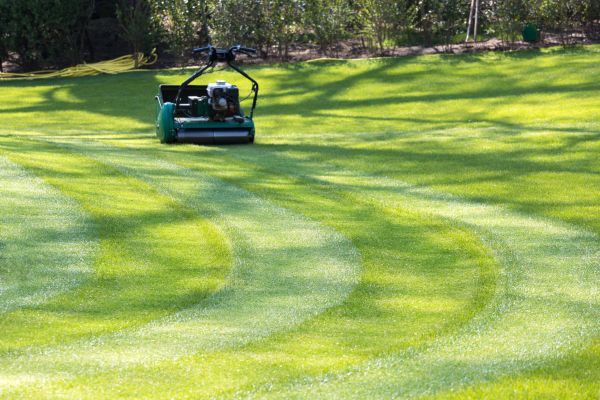 Business Lawn Mowing in Bethlehem