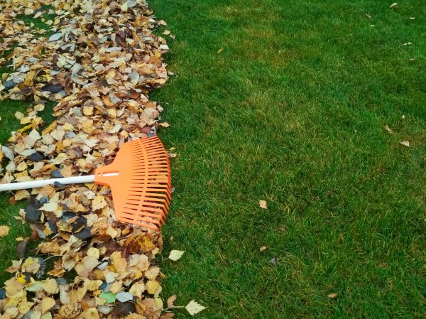 Fall Lawn Care in Bethlehem