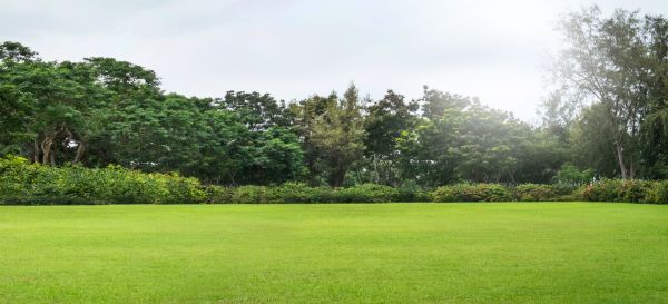 Golf Course Mowing in Bethlehem