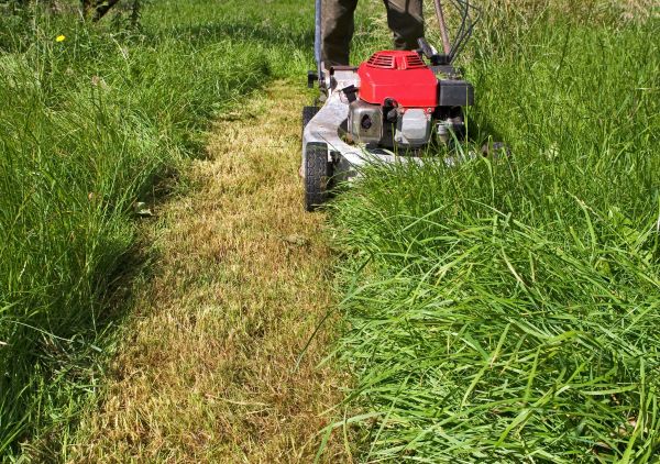 Cost of Leaf Mowing in Bethlehem